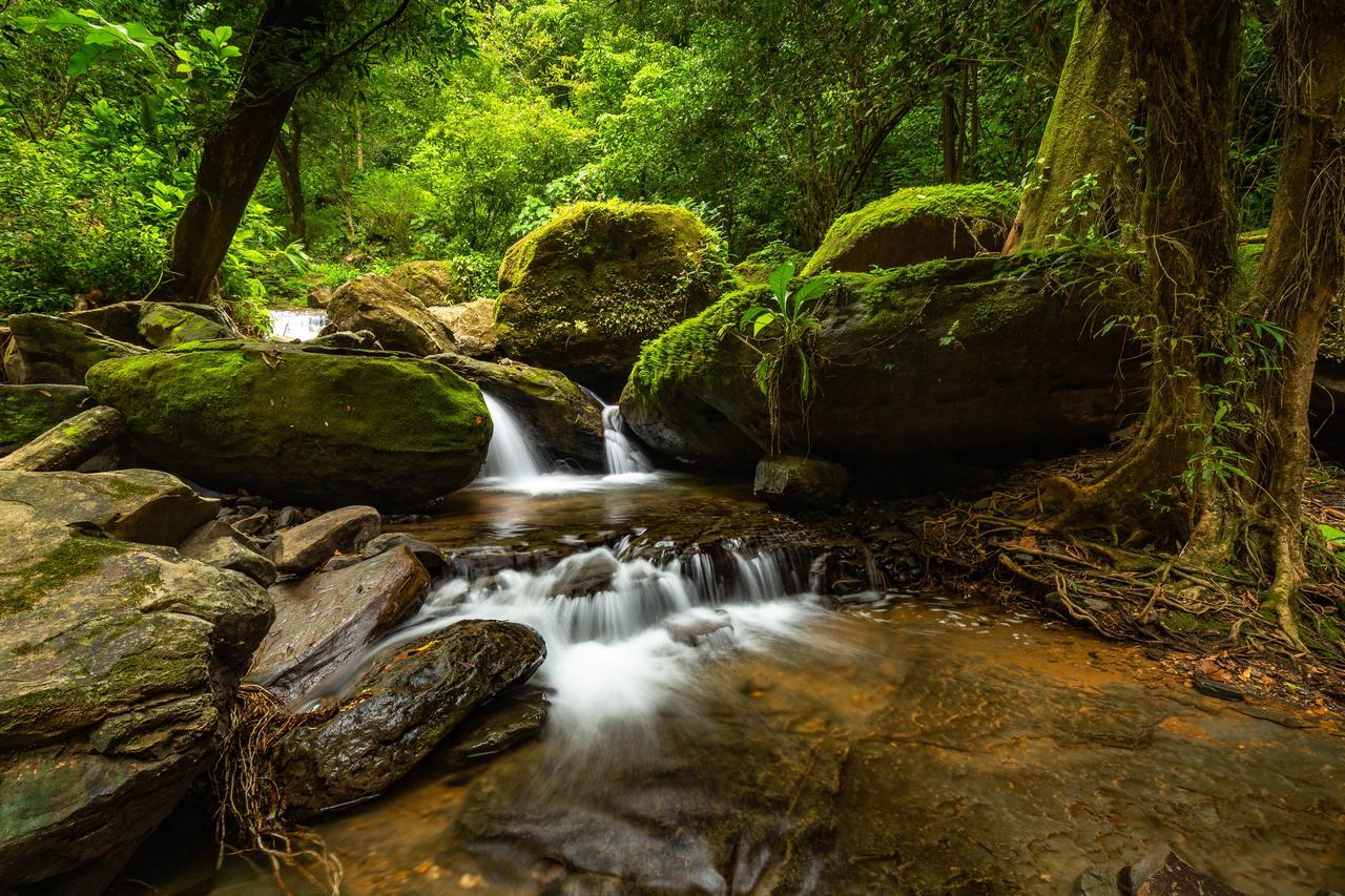 Vila Cascada Elysiana Platanillo Exteriér fotografie